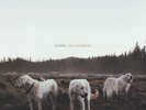 Foxing-The Albatross  VINYL LP NEW