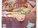 ROY HARPER Flat Baroque And Berserk LP HARVEST 1970 UK 2nd Press+foc SHVL 766