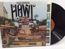 Allen Ginsberg Howl Spoken Word Poetry Fantasy F-7013 LP