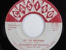 Doo Wop R&B 45 LEE ANDREWS AND THE HEARTS Try The Impossible CASINO HEAR