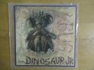 Dinosaur Jr.-Bug-SST original-Sebadoh-Husker Du-Pixies-Sonic Youth-Tad-Mudhoney