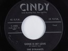 Doo Wop 45 DYNAMICS Gone Is My Love CINDY HEAR