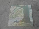 JOHN LENNON-PLASTIC ONO BAND-S./T-LP-VINYL-US-APPLE SW 3372-INNER-VG++/NM(-)