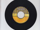 VIRGONIAN/ WHY CAN'T WE LIVE TOGETHER - TINGA STEWART   (77 REGGAE ROOTS 7
