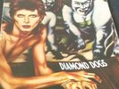 david bowie diamond dogs song book