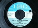 Thirteenth Floor Elevators, HBR 492, You're Gonna Miss Me & Tried To Hide, GREAT