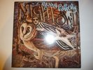 Gerry Rafferty ?– 'Night Owl' 12