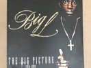BIG L The Big Picture  2 x LP 12