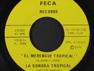 LA SONORA TROPICAL: Tierra Borincana / El Merengue Tropical 45 Hear  ('76)