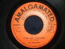 LEE KING PERRY - I AM THE UPSETTER  (REGGAE)  45