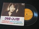 David Cassidy - Vinyl 7
