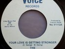 The Four Voices - Your Love Is Getting Stronger. Rare Northern Soul