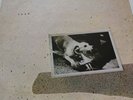Fleetwood Mac Tusk 1979 Vinyl [ K66088 ]