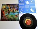 The Fuzztones - Lysergic Emanations UK 1985 ABC Records LP with Inner Sleeve
