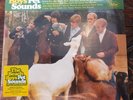 BEACH BOYS - Pet Sounds 40th Anniversary Double vinyl LP - MINT