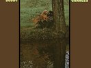 Bobby Charles 1972 ST Vinyl LP Record neil young/bob dylan/the band/dr john  NEW