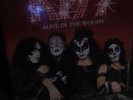 kiss alive in the woods 2lp