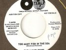 THE MARVELETTES Too Many Fish In The Sea TAMLA PROMO  MOTOWN NORTHERN SOUL 45
