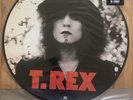 T. Rex  The Slider PICTURE DISC RARE ITALIAN IMPORT 2003 Nr Mint Record Superb