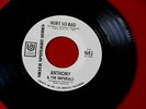 ANTHONY & THE IMPERIALS  HURT SO BAD  REPUTATION  NEAR MINT  UA   DOO WOP 45