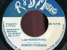 Robert Ffrench - I Am Wondering JA R&D Music 7