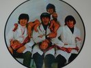 The Beatles Yesterday And Today Butcher & Trunk Cover Picture Disc LP