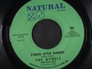 DYNELS: C'mon Little Darlin' / Just A Face In The Crowd 45 Soul