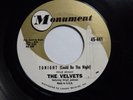 Velvets - Tonight (Could Be The Night)  M-  1961