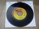 Dennis Alcapone - Shades of hudson - Big Shot Up orig skinhead / roots reggae
