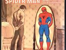 SPIDER-MAN Rock Reflections of a Superhero SEALED 1975 ORIG Stan Lee Spiderman
