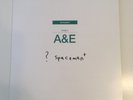 Spiritualized SIGNED Songs In A&E LIMITED Double GREEN 12