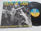 YOUTH OF TODAY/BREAK DOWN THE WALLS  LP 1988 USA REVELATION: 8