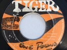HUB CAP & WHEELS - ONE POUND WEIGHT - TIGER ( SKINHEAD INST 7 )