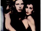 Cher & Greg Allman Splinter Dark Horse Records George Harrison 1977 Programme