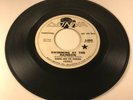 Ronnie And The Pomona Casuals - Swimming At The Rainbow SCARCE PROMO HEAR MP3 VG