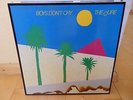 Cure - boys don't cry  Vinyl LP  1980 fiction 0060.276