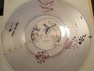 Snoqualmie Falls DREAM SEQUENCE clear vinyl w/ real flowers RARE only 15 made.