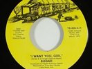 Sugar 