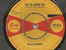 BIG AL DOWNING YES IM LOVING YOU