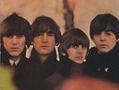The Beatles Beatles For Sale in Mono 180 gram Vinyl New & Sealed