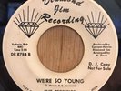 THE TERRIFICS northern soul 45 We're So Young / I'll Get Him Back   Diamond Jim