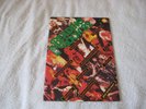 READING ROCK FESTIVAL 1982 OFFICIAL PROGRAMME IRON MAIDEN MANOWAR BUDGIE MSG