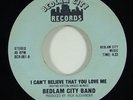 Bedlam City Band 