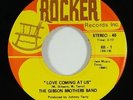 Gibson Brothers Band 
