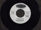 northern soul DEE DEE WARWICK You're No Good JUBILEE 5459 DJ M-  listen
