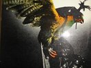 LP. BUDGIE – IN FOR THE KILL