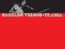 Caetano Veloso - Transa Vinyl LP Philips NEU