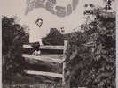 RON GEESIN: As He Stands UK Scarce Psych Experimental Vinyl LP NM- Pink Floyd