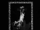 Veles - Black Hateful Metal Vinyl LP