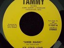 Ice-Cold-Love - Tammy 1037 - 1960's - 45 RPM Record - Vinyl - RS